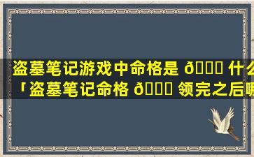 盗墓笔记游戏中命格是 🍁 什么「盗墓笔记命格 🕊 领完之后哪里可以看到」